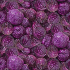 Purple Reign Cabbage  in Multi from the A La Carte Collection by Whistler Studio for Windham Fabrics - 100% Cotton