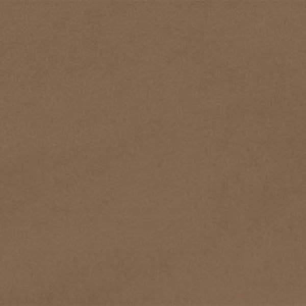 90" Extra Wide Solid Cuddle® 3 in Cocoa Brown Smooth Minky From Shannon Fabrics- 3mm Pile