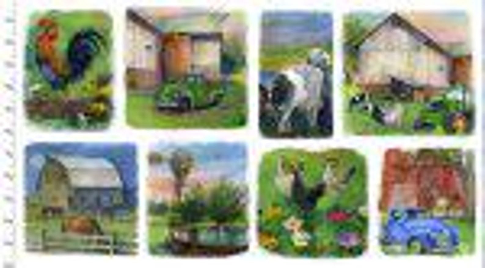 Farmstead Patch White From the Country Living Collection by John ...