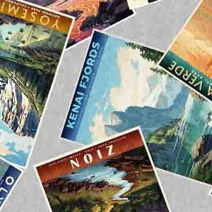 Cartoline del parco nazionale in grigio dalla collezione On the Road Again di Morris Creative Group per QT Fabrics - 100% cotone
