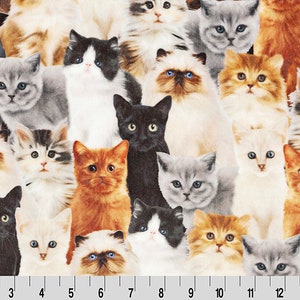 May include: A colorful fabric featuring a repeating pattern of adorable kittens in various poses. The kittens are depicted in shades of white, gray, brown, orange, and black.
