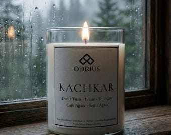 Forest Pine Ocean Candle | Fresh Rain Scent | Mens Gift for Him | Mountain Cabin Decor | Cedarwood Sea Salt | Nature Lover Gift | Soy Blend