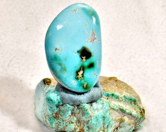 May include: A smooth, light blue turquoise cabochon with dark green and brown matrix. The stone is sitting on a rough, green turquoise matrix.