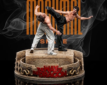 Diorama de arena de artes marciales a escala 1:6, modelo STL para impresión 3D de batalla de luchadores de Kung Fu.