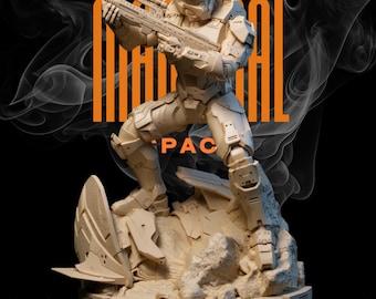 Master Chief HALO STL Figure & Bust – Spartan Armor 3D Print Model