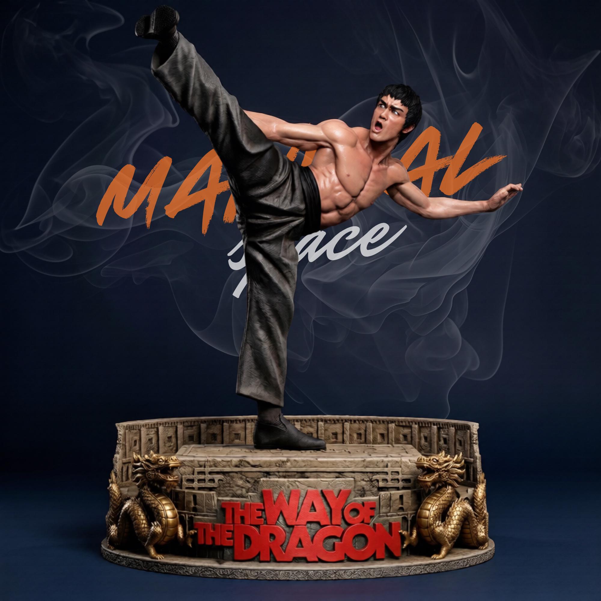 Bruce lee 3d model - Etsy 日本