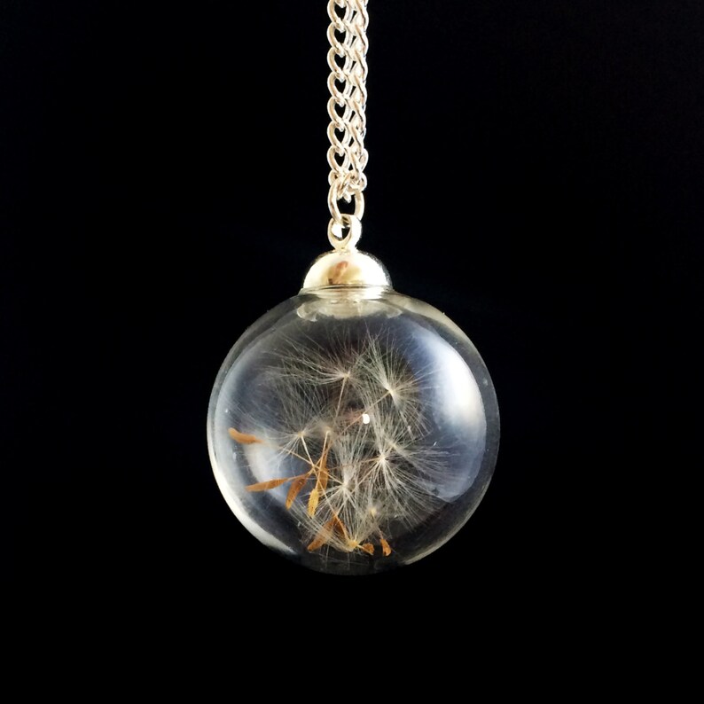 Dandelion Seed Head Pendent, silver chain nature filled glass necklace, Botanical Jewellery Terrarium, wishing fairys in a bottle image 1