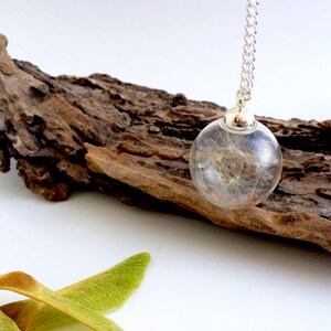 Dandelion Seed Head Pendent, silver chain nature filled glass necklace, Botanical Jewellery Terrarium, wishing fairys in a bottle image 3