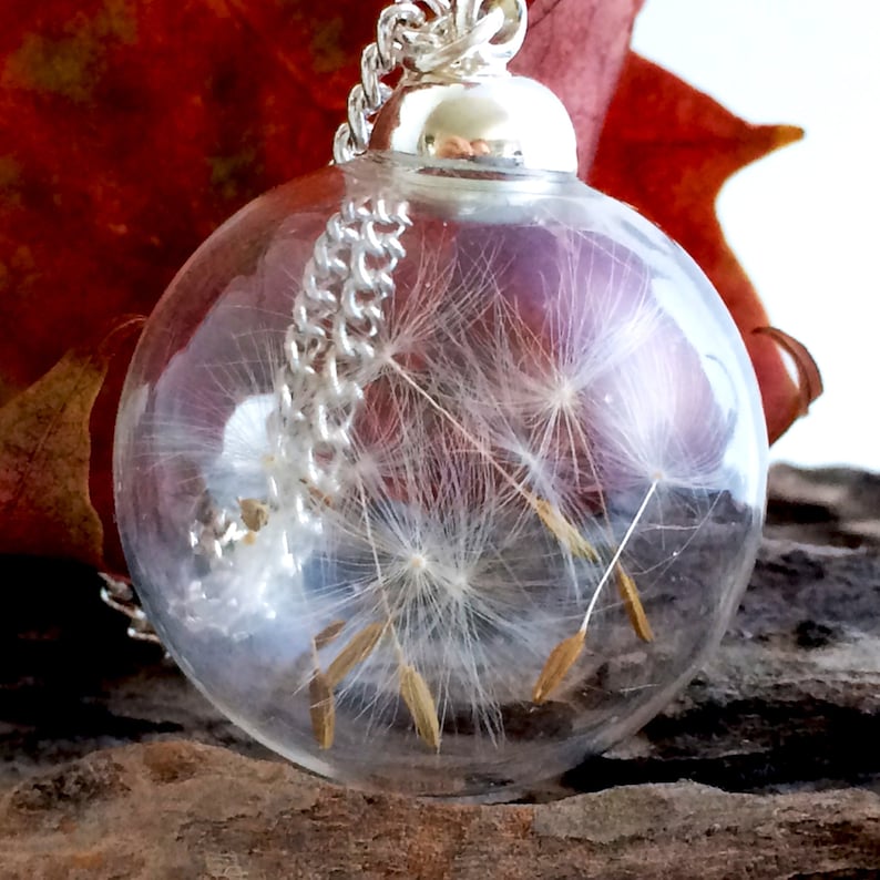 Dandelion Seed Head Pendent, silver chain nature filled glass necklace, Botanical Jewellery Terrarium, wishing fairys in a bottle image 2