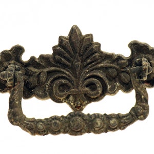 May include: An ornate, antique-style metal drawer pull with a floral design. The pull is a dark brown color and has a loop handle.