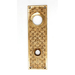 Antique 7.875 in. Polished Bronze Entry Door Back Plate