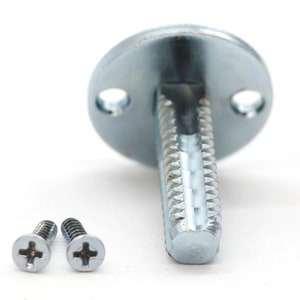 Op de afbeelding: Een zilveren metalen schroef met een ronde kop en twee kleine schroeven. De schroef heeft een schroefdraad en een platte kop.