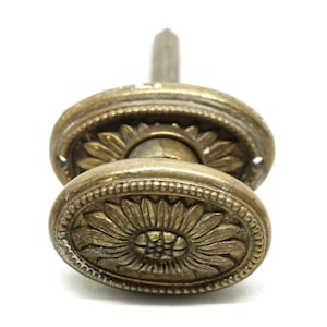 May include: An antique brass door knob with an oval shape and a sunflower design. The knob has a decorative border and a small, round, metal spindle.