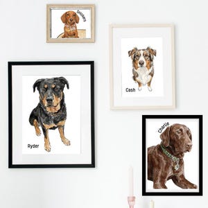 May include: A collection of framed watercolor dog portraits. The portraits include a dachshund named Snickers, an Australian Shepherd named Cash, a Rottweiler named Ryder, and a chocolate Labrador named Charlie. The frames vary in color and style.
