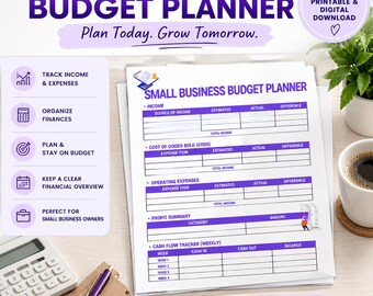 Small Business Budget Planner, Budget Template, Business Finance, Monthly Budget, Expense Tracker, Cash Flow Spreadsheet, Excel & Google She