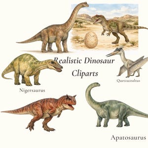 pacchetto clipart di dinosauri, realistici, grafici di dinosauri in stile Montessori 300 dpi 35 png