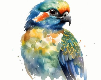 12 aves tropicales en acuarela, aves exóticas pintadas a mano, JPG de alta calidad, fondo blanco, descarga digital