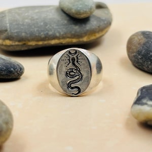 May include: Silver ring with an oval face featuring a black snake design. The snake is centered within a sunburst and crescent moon motif. The ring is set against a neutral background with several grey stones.