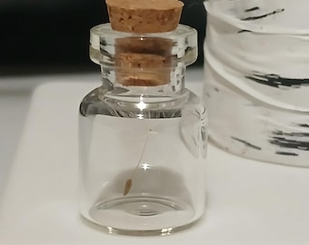 Wishing Bottle