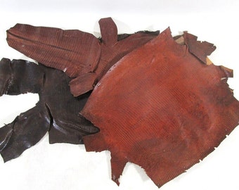 Lizard Skins, Vintage Tanned Leather, Small Reptile Hides, Craft Leatherworking Supply, Textured, Sewing Project Trim, Exotic Lizard Hide