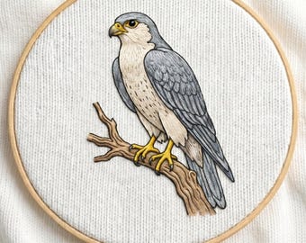 Patrón de bordado de halcón en PDF / Diseño de ave realista / Arte de aves rapaces / Descarga instantánea / Regalo de la naturaleza