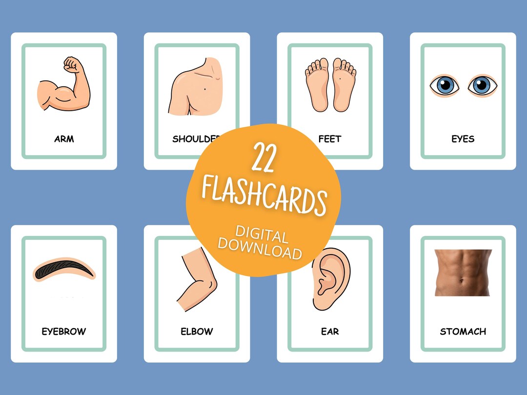22 Body Parts Flashcards | Montessori Style Learning (digital Download ...