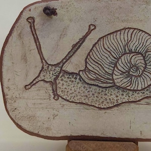 May include: A ceramic plaque with a snail illustration. The snail is drawn in brown on a cream-coloured background. The snail's shell has detailed lines, and the plaque has a rustic, handmade appearance. A small, dark object is attached to the top.