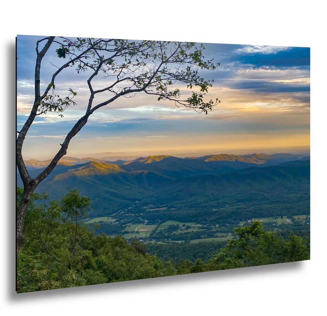 Blue Ridge Tree Man Blue Ridge Tree Overlooking Virginia's Shenandoah Valley - Etsy