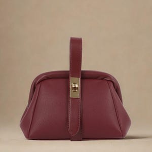 Turn Lock Mini Frame Bag