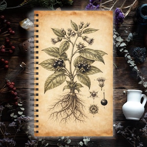 Könnte beinhalten: Spiralgebundenes Notizbuch mit einer botanischen Illustration einer Pflanze mit Blättern, Beeren und Wurzeln. Die Sepia-Zeichnung enthält detaillierte Diagramme der Pflanzenteile. Das Notizbuch hat eine Vintage-Ästhetik mit cremefarbenem Papier.