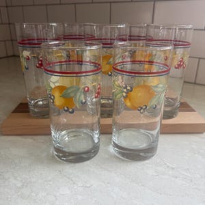 May include: A set of six clear glass tumblers featuring a decorative band of red and blue horizontal lines near the rim. Each glass is adorned with a colorful botanical illustration of oranges, green leaves, and small dark berries around the center.