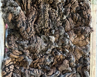 Black Babydoll Southdown Raw Fleece – Soft, Springy Wool for Spinning