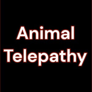 Può includere: Uno sfondo nero con le parole "Animal Telepathy" in lettere bianche con un contorno rosso. Il testo è centrato e occupa la maggior parte dell'immagine.