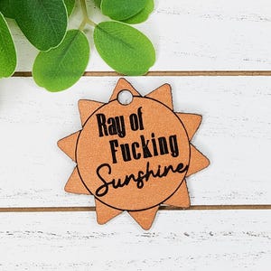 May include: A wooden sun-shaped ornament with the text "Ray of Fucking Sunshine" in black. The ornament is light brown with a small hole at the top for hanging. The background is a white wooden surface with green leaves.