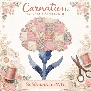 Carnation Sublimation Design PNG, January Birth Flower, Faux Patchwork Quilt Pattern, Cottagecore Floral, Digital Download for Mugs
