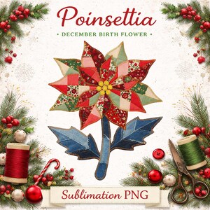 Julstjärna sublimeringsdesign PNG, decemberfödelseblomma, faux patchwork-quiltmönster, julblommor, digital nedladdning
