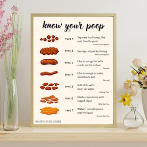 May include: A framed print titled "know your poop" with a beige background. The print displays a chart illustrating seven types of stool, with descriptions ranging from hard lumps to watery, liquid forms. The text includes "Bristol Stool Chart".