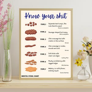 May include: A framed print titled "Know your shit" shows the Bristol Stool Chart, illustrating different stool types with descriptions. The chart is in a gold frame, and the image is set on a wooden shelf with vases of flowers.
