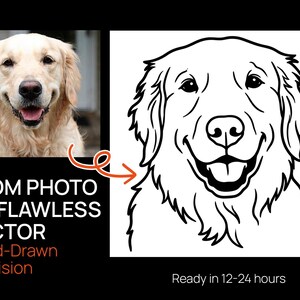Pode incluir: Imagem mostrando um retrato de um cão Golden Retriever e uma ilustração vetorial em preto e branco do mesmo cão. O texto diz "From Photo to Flawless Vector, Hand-Drawn Precision" e "Ready in 12-24 hours."