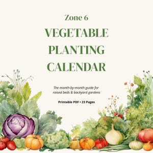 May include: A Zone 6 Vegetable Planting Calendar printable PDF with 23 pages. The text reads: Zone 6 VEGETABLE PLANTING CALENDAR, The month-by-month guide for raised beds & backyard gardens. It features watercolor illustrations of vegetables.