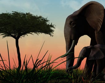 Plains of Africa T-Shirt