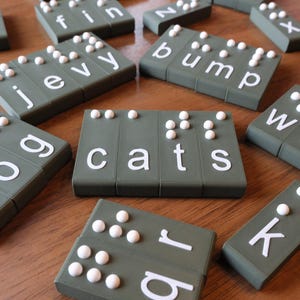 以下が含まれることがあります： 「猫」や「犬」、「隆起」などの単語を綴るオリーブグリーンの点字ブロック。各ブロックには白い文字と、点字文字を表す盛り上がった白い点があります。ブロックは木製の表面に配置されています。