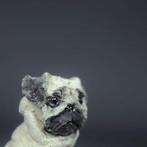 May include: A small, off-white pug sculpture with a black snout and ears. The dog figurine has a slightly textured surface and is set against a gray background. The pug is looking to the side.