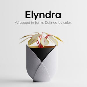 Könnte beinhalten: Ein moderner, geometrischer Pflanztopf mit einer Pflanze mit gelben Blättern und roten Stielen. Der Pflanztopf ist weiß und grau mit schwarzem Innenraum und goldenem Rand. Der Text "Elyndra" und "Wrapped in form. Defined by color." werden angezeigt.