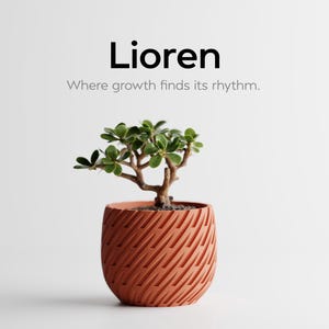 Puede incluir: Una pequeña planta en maceta con hojas verdes y un tronco marrón se encuentra en una maceta de color terracota con un diseño texturizado. La maceta está sobre un fondo blanco. El texto "Lioren" y "Where growth finds its rhythm" están en la parte superior.