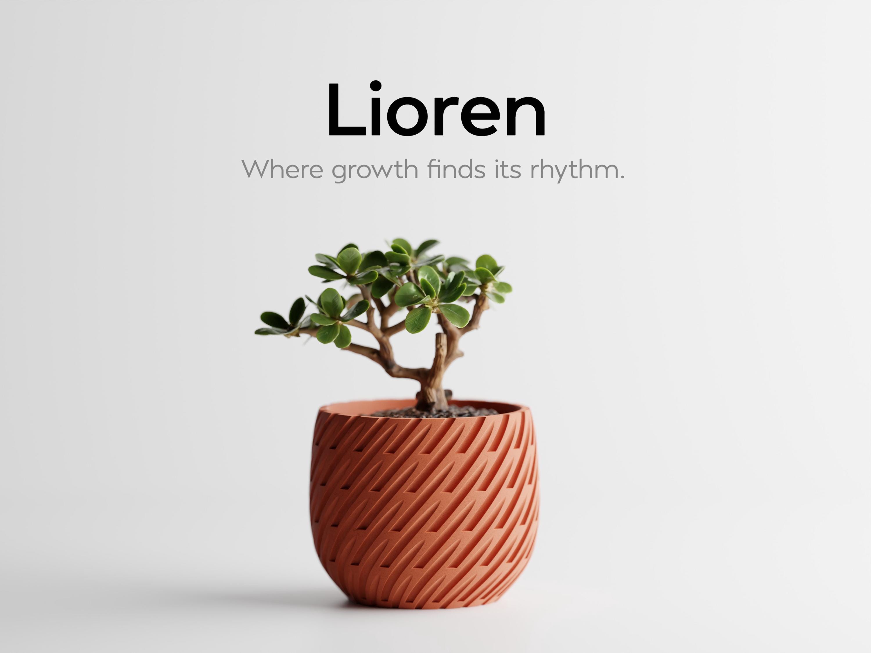 pflegeleichte bonsai Ficus 'Ginseng' Bonsai Ø:12 H:30 cm - Pflegeleichter Bonsai main image 0