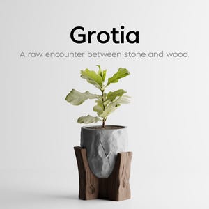 Op de afbeelding: Een kamerplant met grote groene bladeren in een grijze, getextureerde pot. De pot staat in een houten standaard. Het woord "Grotia" staat boven de plant, met de tekst "A raw encounter between stone and wood."