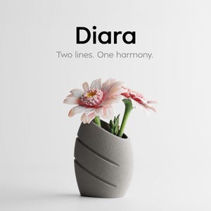 Pode incluir: Um vaso cinza com linhas diagonais contém duas flores rosa e brancas com caules verdes. A palavra "Diara" está acima do texto "Two lines. One harmony."