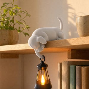 Può includere: Una statuetta di cane bianco opaco posizionata sul bordo di uno scaffale. Il cane è in posizione sdraiata con una zampa anteriore che pende oltre il bordo, reggendo una piccola lanterna nera che emette una luce calda dai pannelli di vetro.
