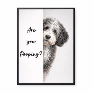 Op de afbeelding: Een ingelijste kunstdruk met een hond met grijs en wit haar die achter een wit paneel vandaan gluurt. De tekst "Are you Pooping?" is in zwart schrift op het paneel geschreven.